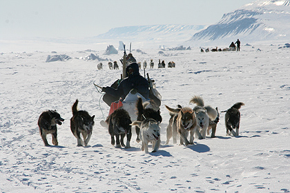 Dogsledding in the worlds biggest nationalpark, image by Nanu Travel