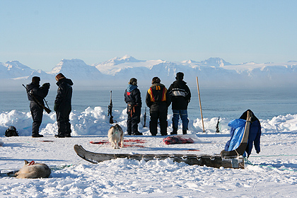 The iceedge at Kap Tobin , image by Nanu Travel