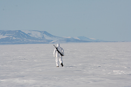 Seal hunting on ice ,  image by Nanu Travel