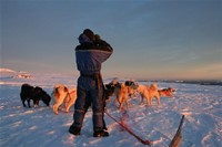 Hunter at the iceedge , image by Nanu Travel