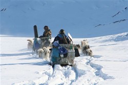 Dogsledexpedition in the worlds largest fjordsystem , Scoresby Sund